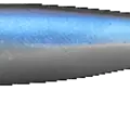 Pro Blue