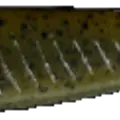Green Pumpkin Black Flake