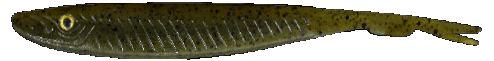 FishUs Lures Espetit Dead Jerk