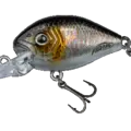 Shine Shad