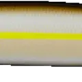 Sexy Shad