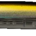 Tennessee Shad