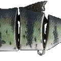 Volga Zander