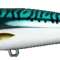 Mackerel