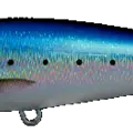 Sardine