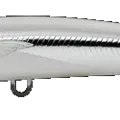 White Flying Fish