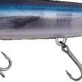 Bonito
