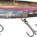 Flashy Shad