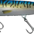Mackerel
