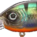 Perch