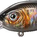 Shine Shad