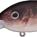 Mimetic Perch