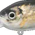 Mimetic Pike