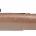 Clear Eel