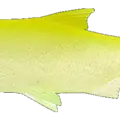Chartreuse