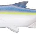 Herring