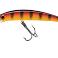 Hot Perch