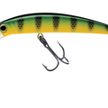 Green Perch