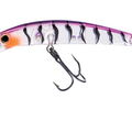 Purple Tiger