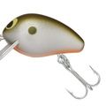 Tennessee Shad