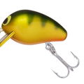 Perch