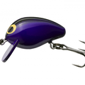 Black Purple