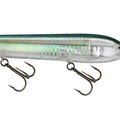 Real Gizzard Shad