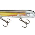 Real Golden Shiner