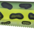 Matte Prism Frog