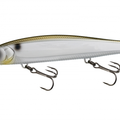 Gizzard Shad