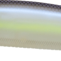 Matte Sexy Shad