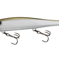 Gizzard Shad