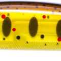 Pearl Brown Trout