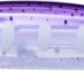 Pearl Purple Trout