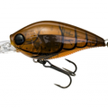 Brown Crawfish