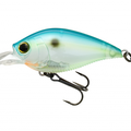 Citrus Shad