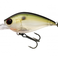 Green Shad