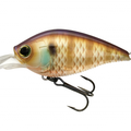 Natural Bluegill