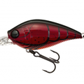 Red Crawfish
