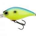 Blue Back Chartreuse