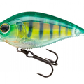 Real Perch