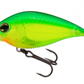 Green Back Chartreuse (Homer)