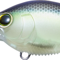 Matte Ghost Sexy Shad