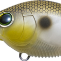 Matte Gizard Shad