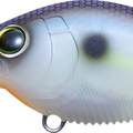Matte Sexy Shad
