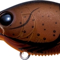 Matte Translucent Brown Crawfish