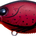 Matte Translucent Red Crawfish
