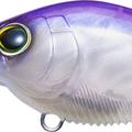 Sunset Shad