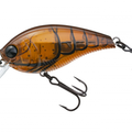 Brown Crawfish