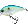 Citrus Shad